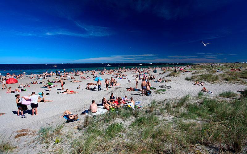 Sommerdag på Amager Strandpark