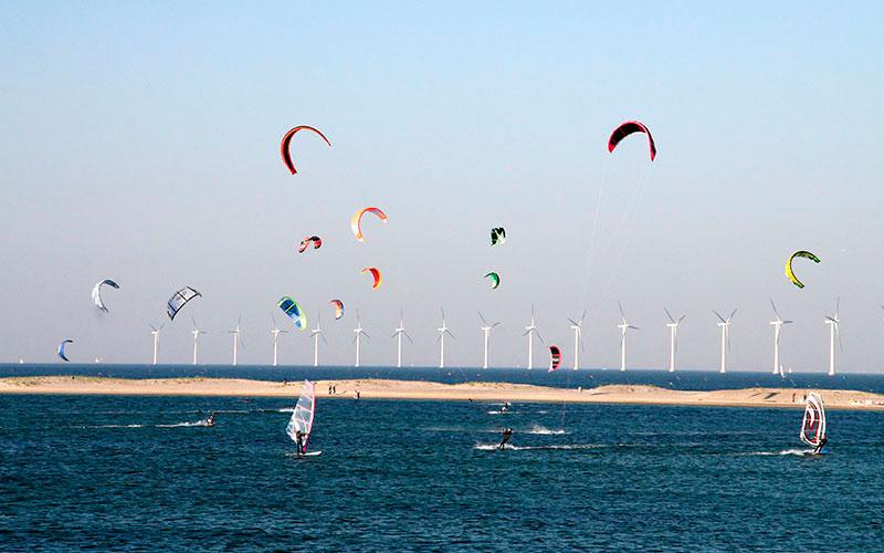 Surfere på Amager Strandpark