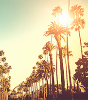 Buro city guide: LA