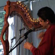 Colorful Genres in Harp music from Paraguay