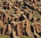 An aerial view of Bungle Bungles Range.
