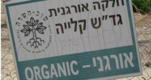 Much Jordan Valley produce is marketed as organic but is certainly not grown fairly