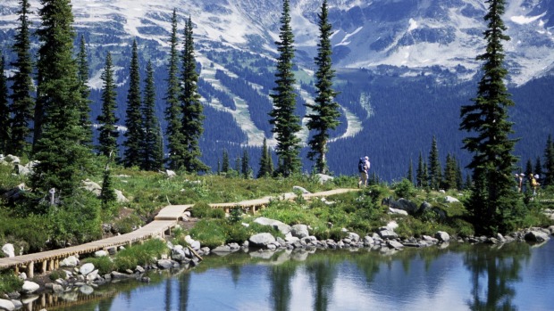 Hikers on Whistler mountain with Blackcomb mountain looming in the background, Canada.