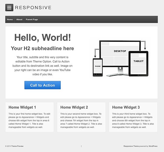 Responsive WordPress Theme