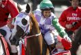 2015 Melbourne Cup winner Prince of Penzance and jockey Michelle Payne with her brother, the strapper.