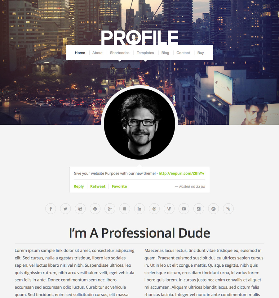 profile-v2-wordpress-theme