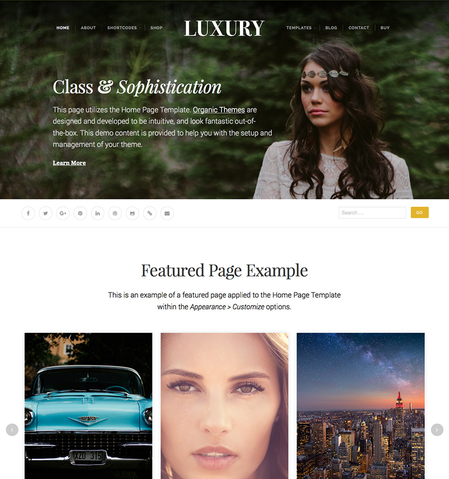 luxury-wordpress-theme-03