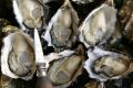 The health department is warning people not to eat shellfish caught in the Swan and Canning rivers. 