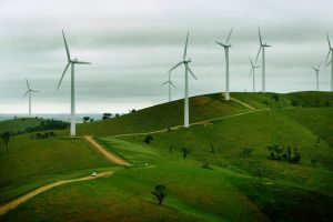 Pacific Hydro's Challicum Hills wind farm, near Ararat, the biggest such farm in the Southern Hemisphere. 