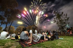 Families watch the fireworks during the Family New Year's celebration in Melbourne.