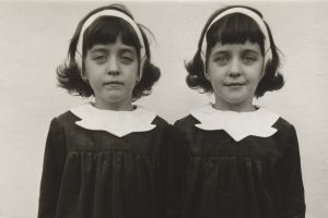 <i>Identical twins, Roselle, New Jersey</I> (1967), one of many striking images by Diane Arbus.