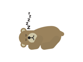 bear