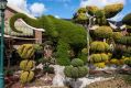 A garden in Sunshine West proudly landscaped with topiary hedges is among the photographs from Warren Kirk's book ...