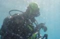 Fisheries Queensland director Andrew Thwaites, 44, has been found dead after failing to resurface on a diving trip off ...