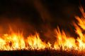 How did the harmful effects of fire shape our evolution?