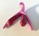 3D printed clitoris, developed by French researcher Odile Fillod.