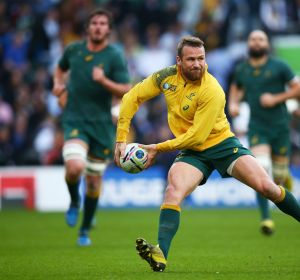 Cool head: Matt Giteau can dictate the game for the home side.