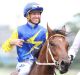 23012016. Sydney Races. Jockey Glyn Schofield rides Le Romain to win race 1, The Schweppes Quality, during Sydney racing ...