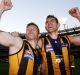 Starsky and Hutch: Sam Mitchell and Luke Hodge have sharp football brains and the ability to execute under pressure.