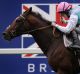 Master sire: Frankel, ridden by Tom Queally, wins the Champions Stakes at Ascot in 2012.