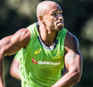 In fine form: Will Genia at Wallabies training this week.