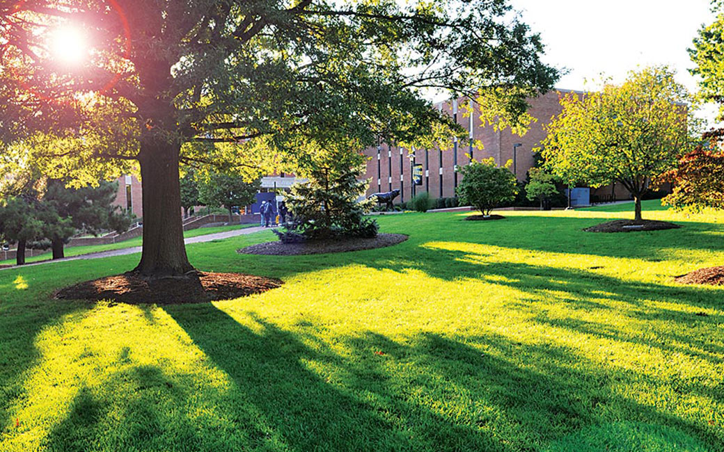 Campus Beach