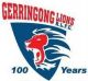 Gerringong Lions