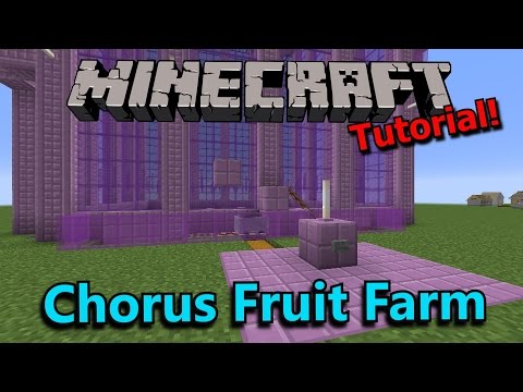 [Tutorial] Minecraft Semi-Automatic Chorus Fruit Farm