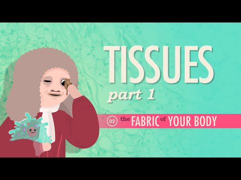 Tissues, Part 1: Crash Course A&P #2