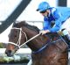 Jockey Hugh Bowman rides Winx to win race 7, The Warwick Stakes.