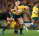 Wrapped up: Wallabies forward Rob Simmons is tackled by the All Blacks.