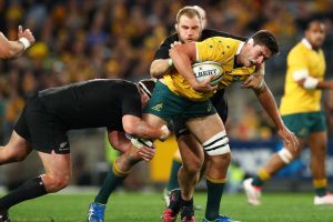 Wrapped up: Wallabies forward Rob Simmons is tackled by the All Blacks.