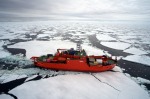 Aurora Australis in the ice.