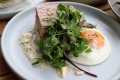 Good eggs: Saint James' ham hock terrine with sauce gribiche, fried egg and bone marrow toast.