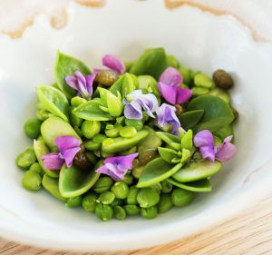 Peas with broad beans and seaweed dish at Silvereye, Chippendale. 