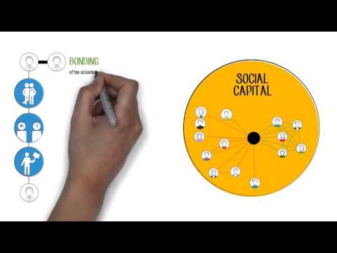 Social Capital and New Communication and Information Technologies