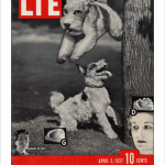 LIE Magazine Series