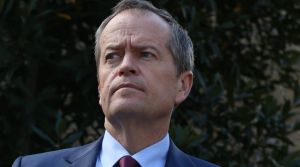 The Leader of the Opposition Bill Shorten has hardened his criticism of the plebiscite plan in a clear indication Labor ...