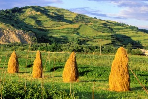 Romania, Maramures region, Carpathians mountains.