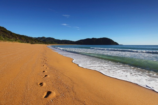 A beach on the Abel Tasman National Park, New Zealand.