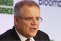 I suspect when Treasurer Scott Morrison talks about the "taxed and the taxed nots'', he isn't thinking about rich, ...