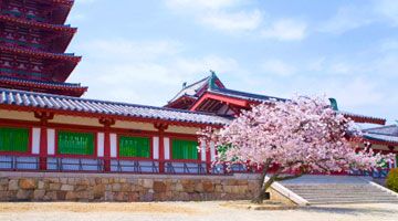 Cheap Flights to Osaka