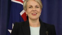 Deputy Labor leader Tanya Plibersek, one of the party's 42 female MPs.