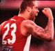 Making his mark: Lance Franklin has been in fine form for the Swans.