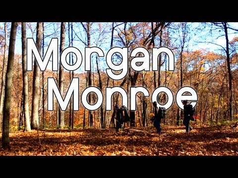 Morgan Monroe State Forest | Indiana Backpacking, Bushcraft, Hiking, and Autumn Camping