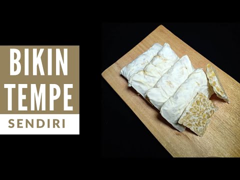 Cara Membuat Tempe 100% Berhasil!