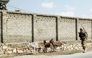 A U.S. Soldier with 3d Cavalry Regiment scans the street near a village in Laghman province, Afghanistan, July 29, 2016 during a key leader engagement patrol with Afghan counterparts.