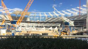 More than 17,000 square metres of turf will roll onto Perth Stadium