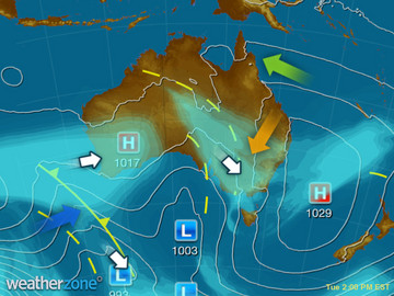 synoptic