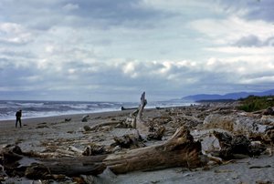 Haast Beach, West Coast, New Zealand. Photo taken in 1968.